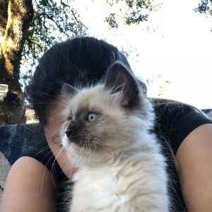 Meet your Posher, Elena
